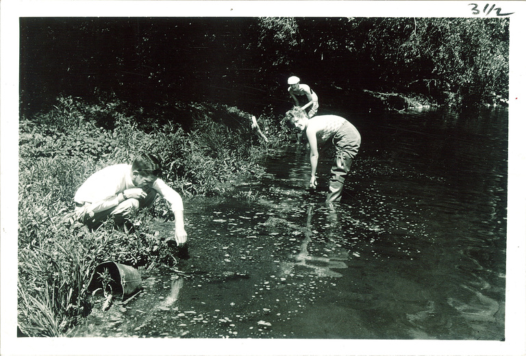 A black and white photograph of students by the stream at Iowa Lakeside Laboratory in West Okoboji during the 1960s. They are standing in and around the edge of a stream, closely studying some equipment in the marsh grasses.